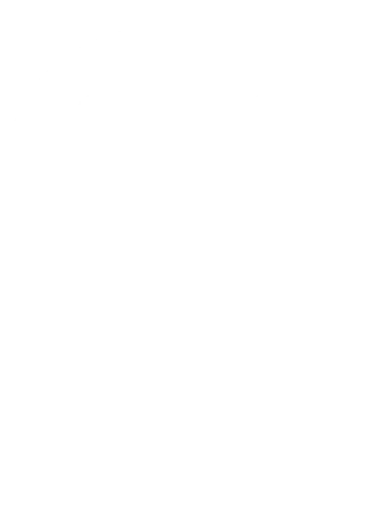 Au Pub du Coche